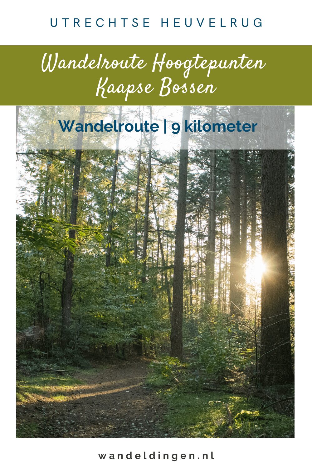 wandelroute Kaapse Bossen