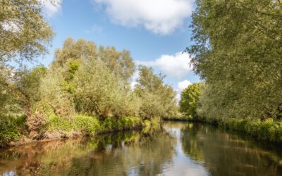 Wandelen langs de Dommel bij Liempde