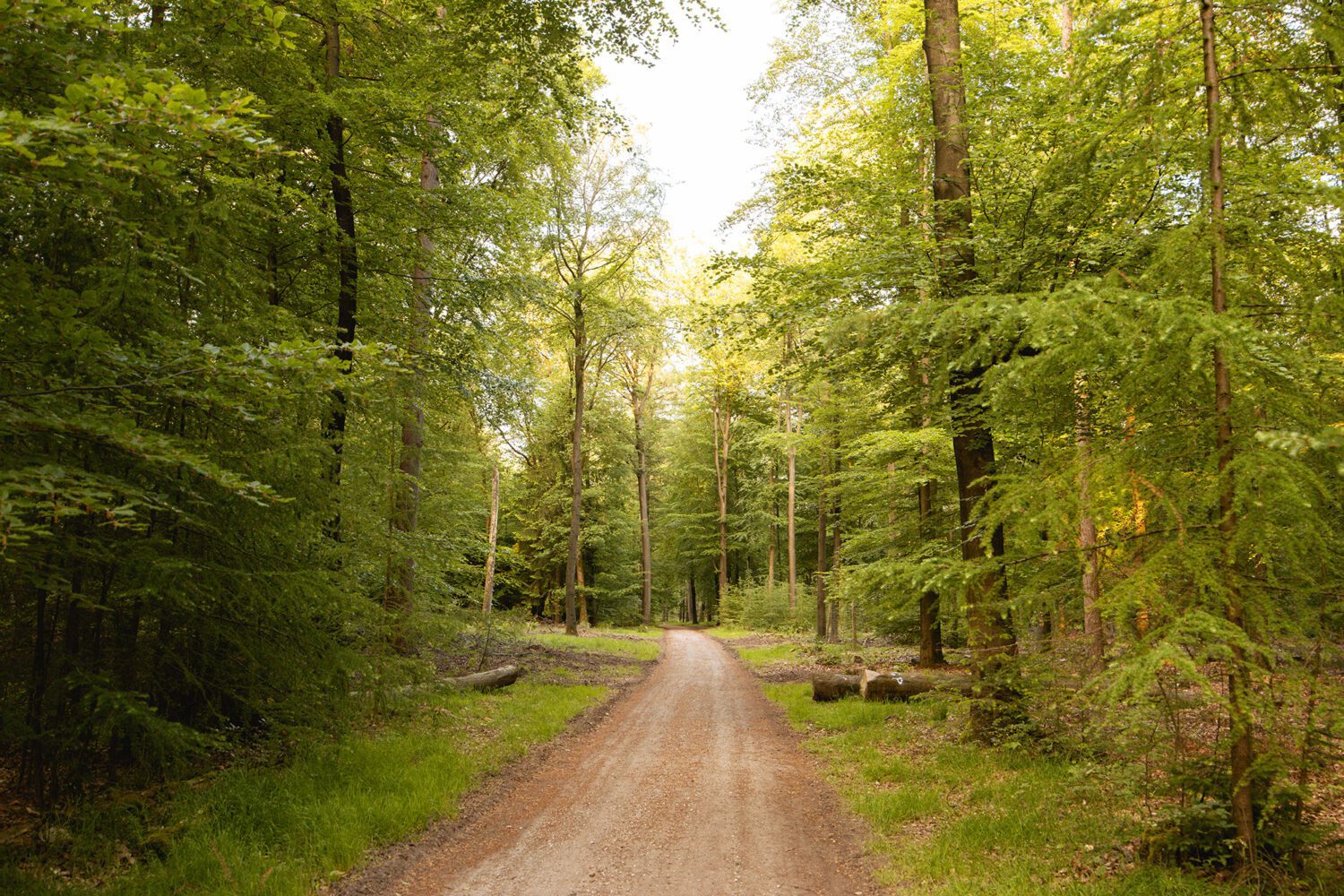 wandelroute aardschoten