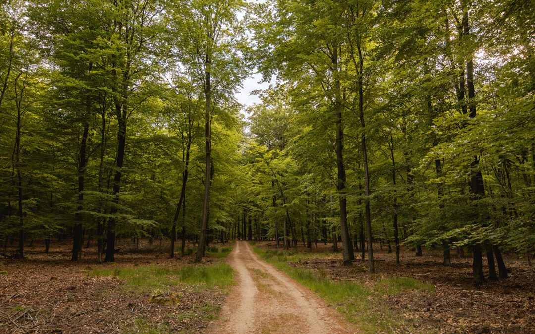 wandelroute aardschoten