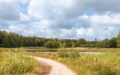 Wandelen door De Hagen bij Doetinchem