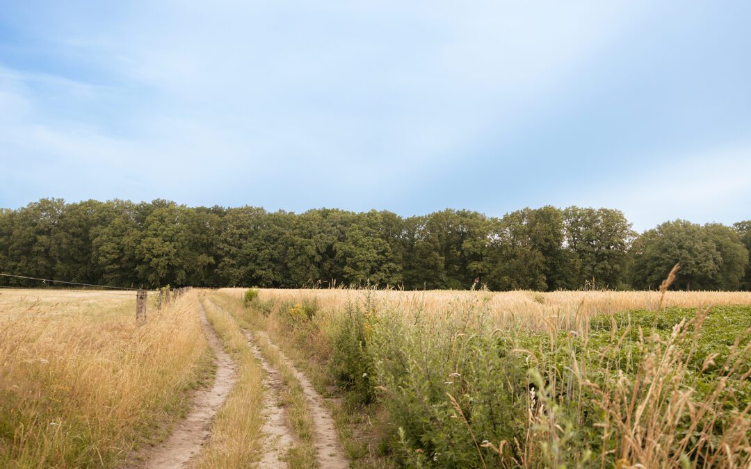 wandelroute lochemse berg