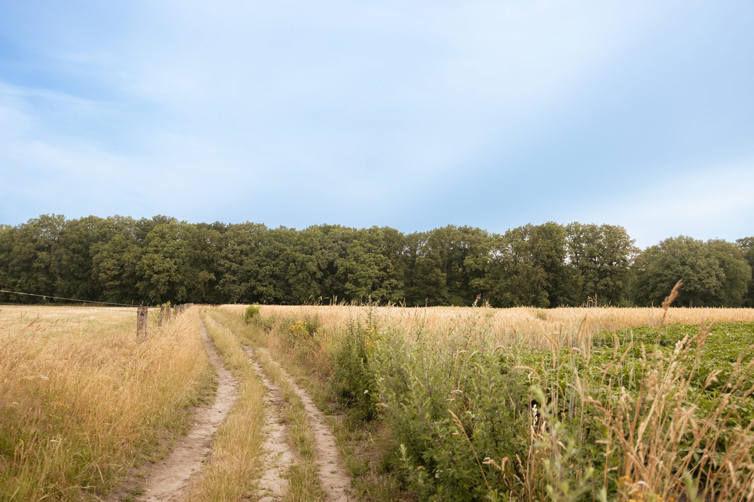 Een Wandelroute Over De Lochemse Berg Wandeldingen Nl