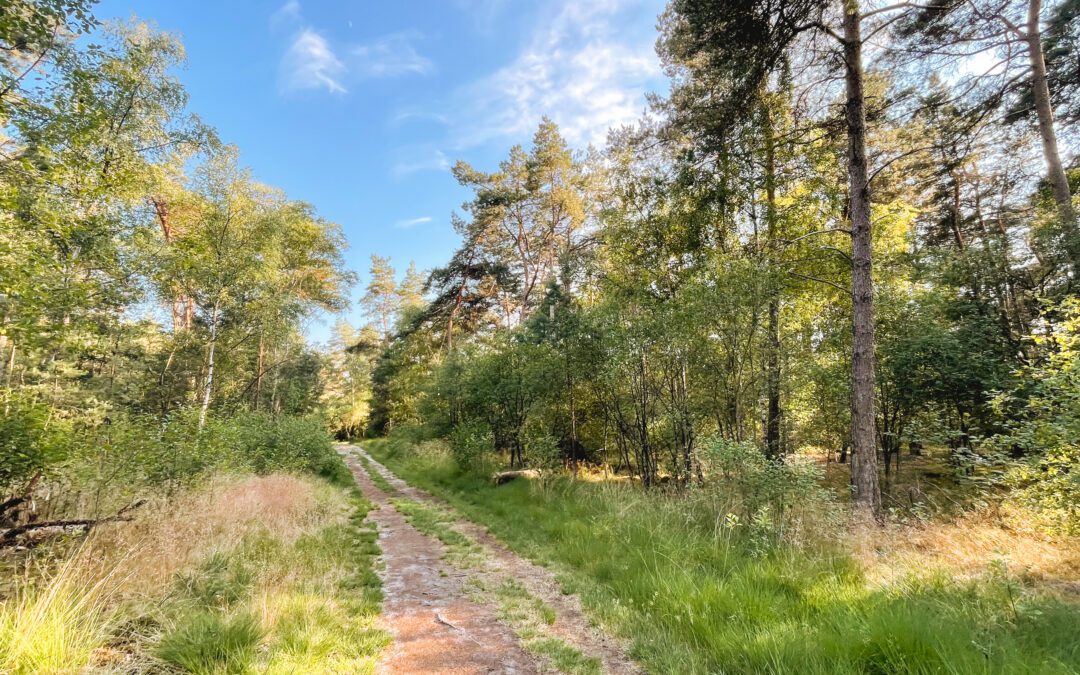 heideroute grote veld