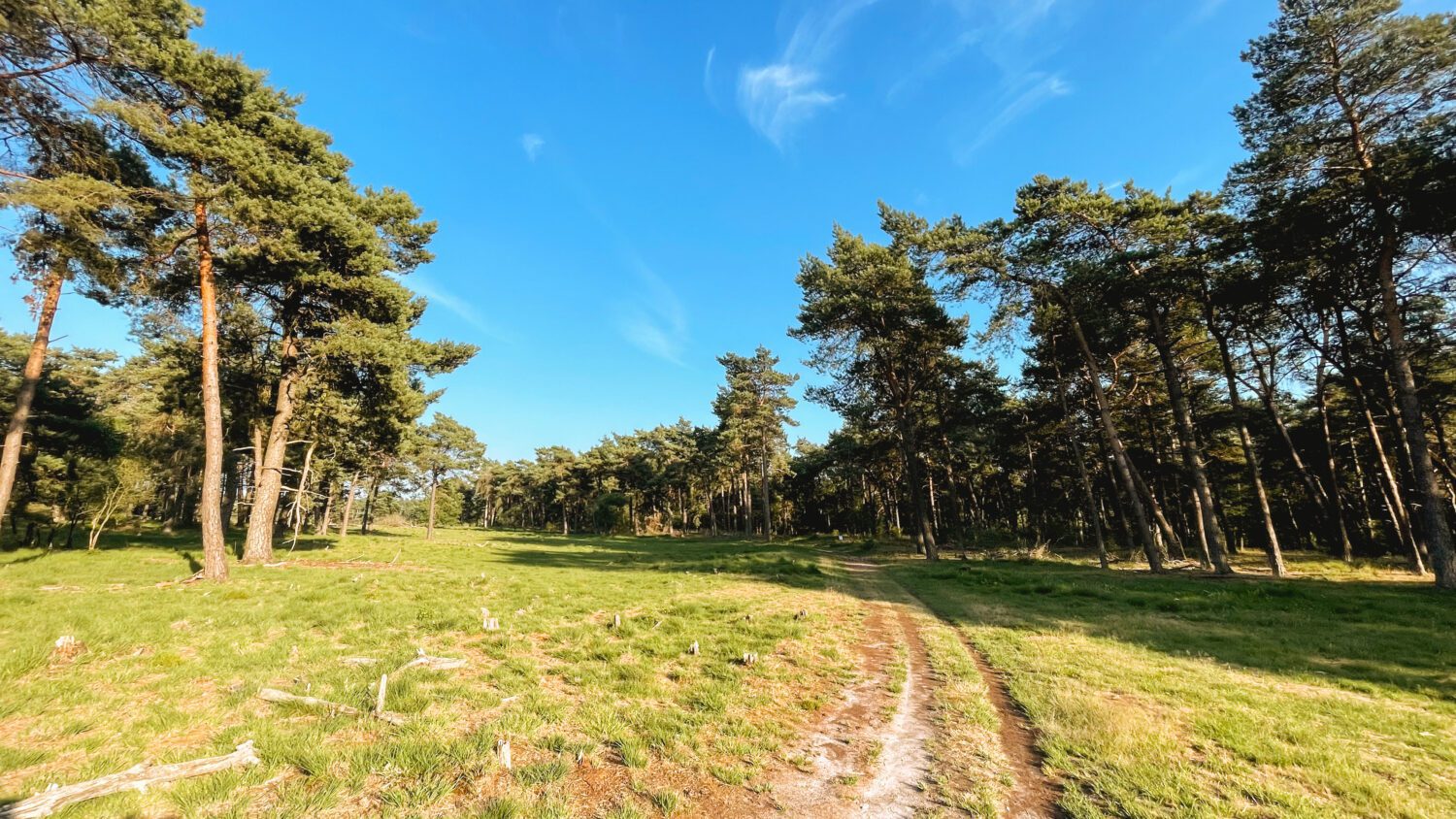 heideroute grote veld