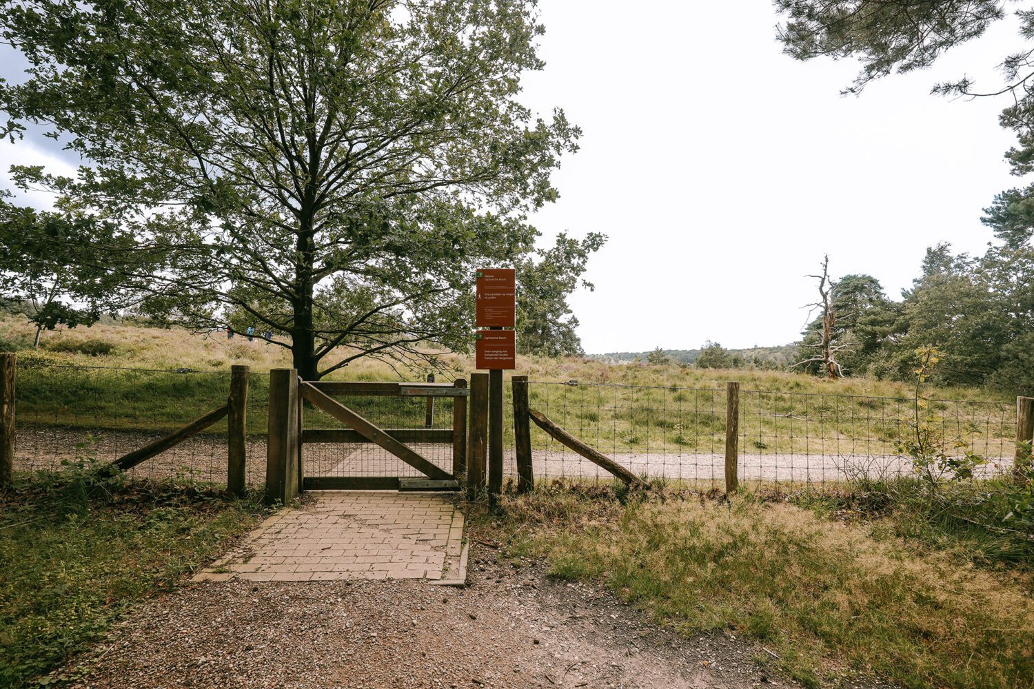 boswachterspad het leesten