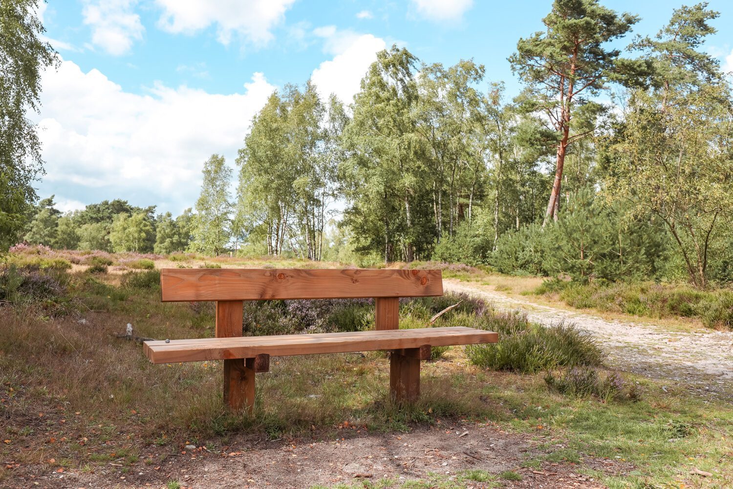 boswachterspad het leesten