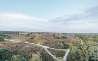 Tijdkijkerpad over de Elspeetse Heide