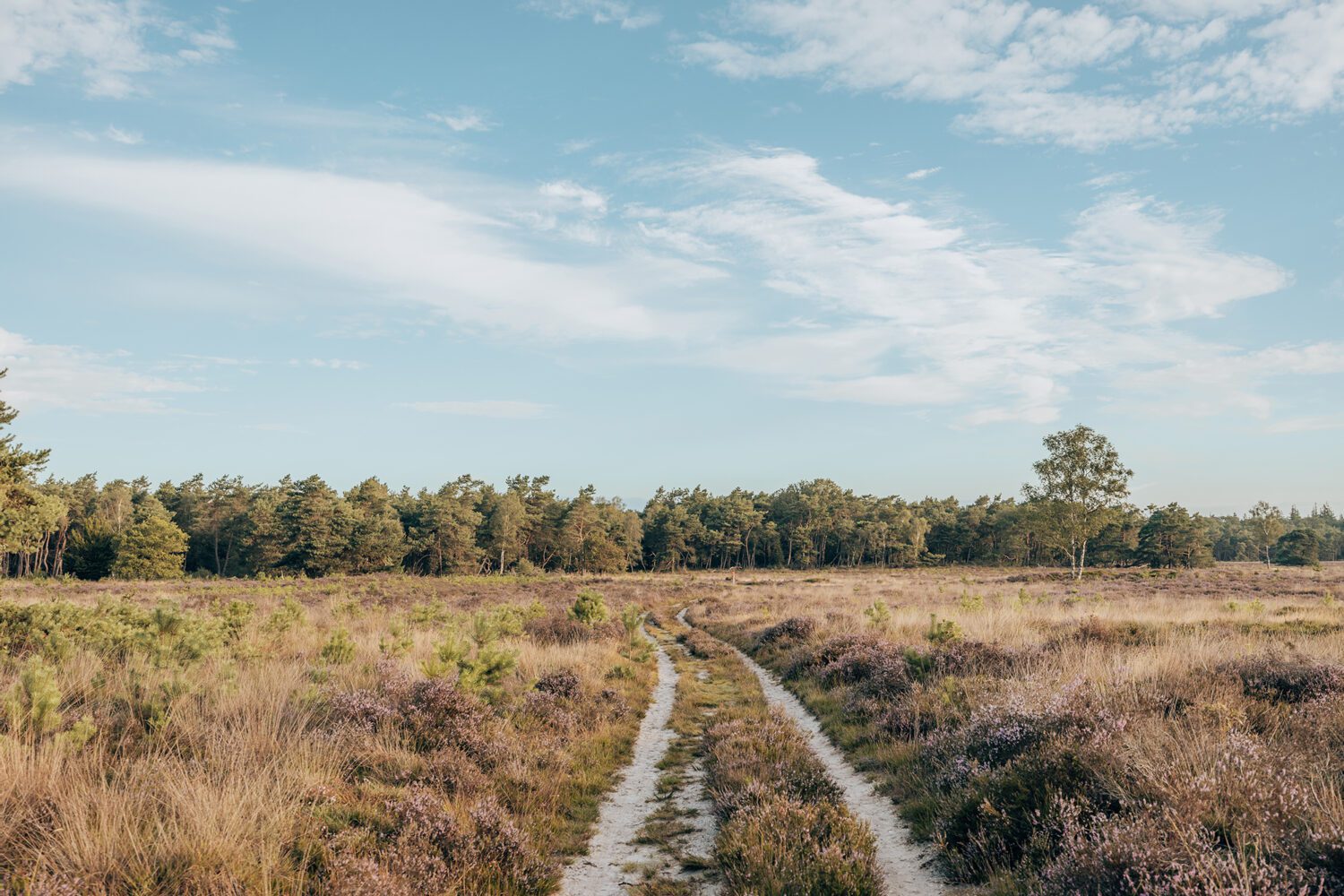 Tijdkijkerpad