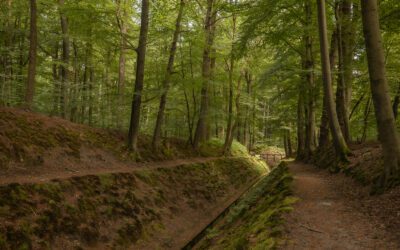 Paleispark Het Loo: rode wandelroute langs sprengen