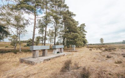 Wandelen over de Zilvense Heide