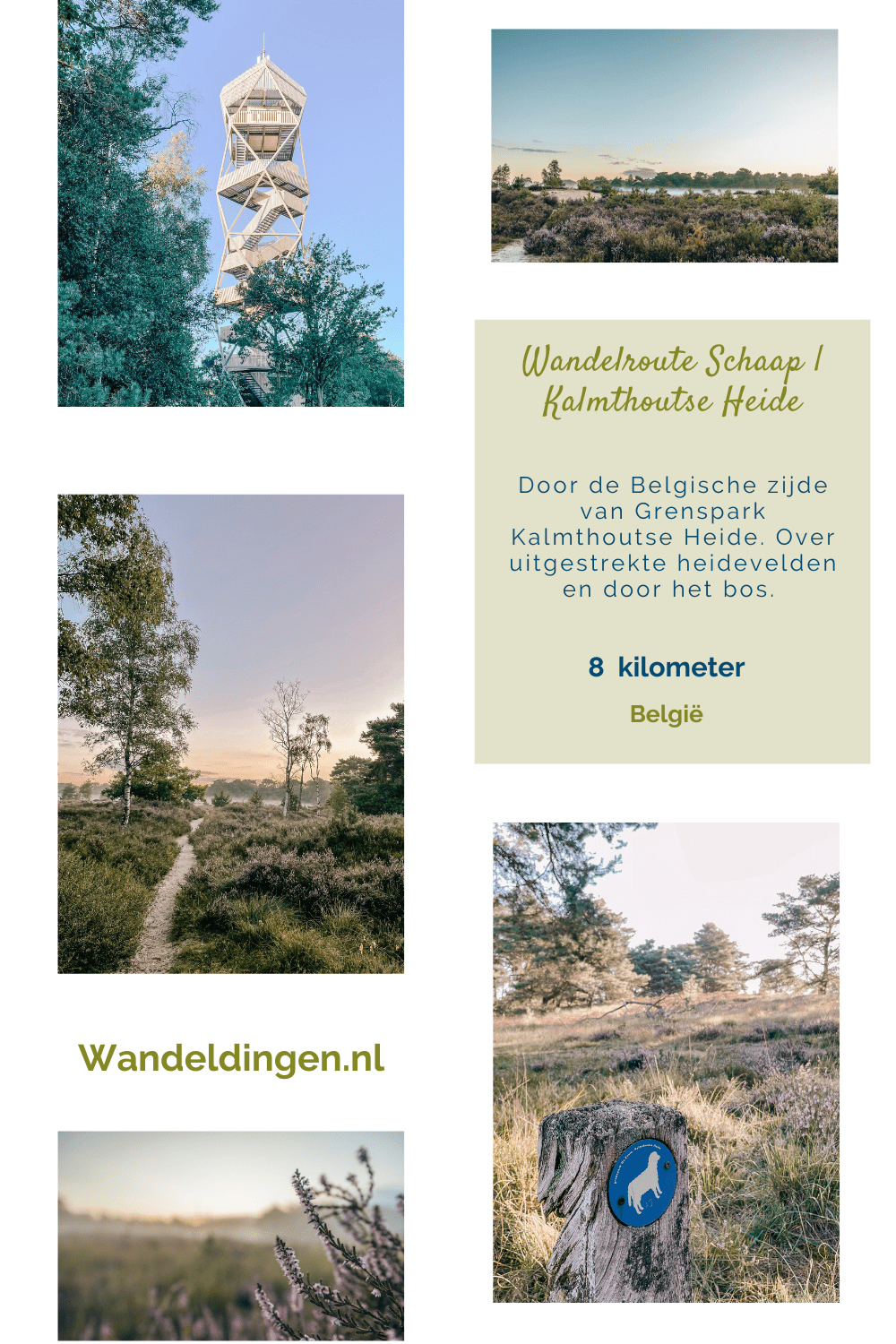 wandelroute schaap