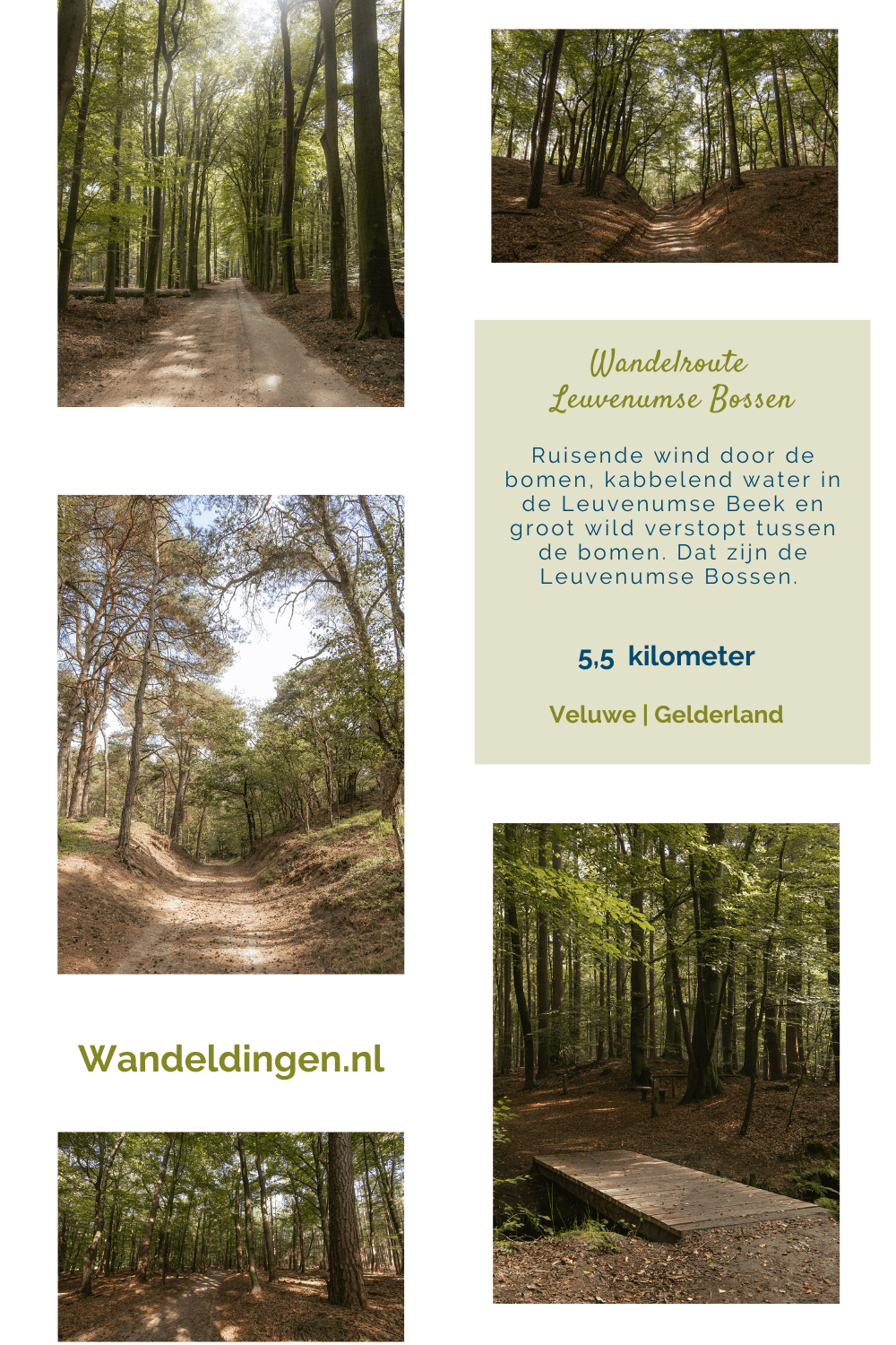 wandelroute leuvenumse bossen