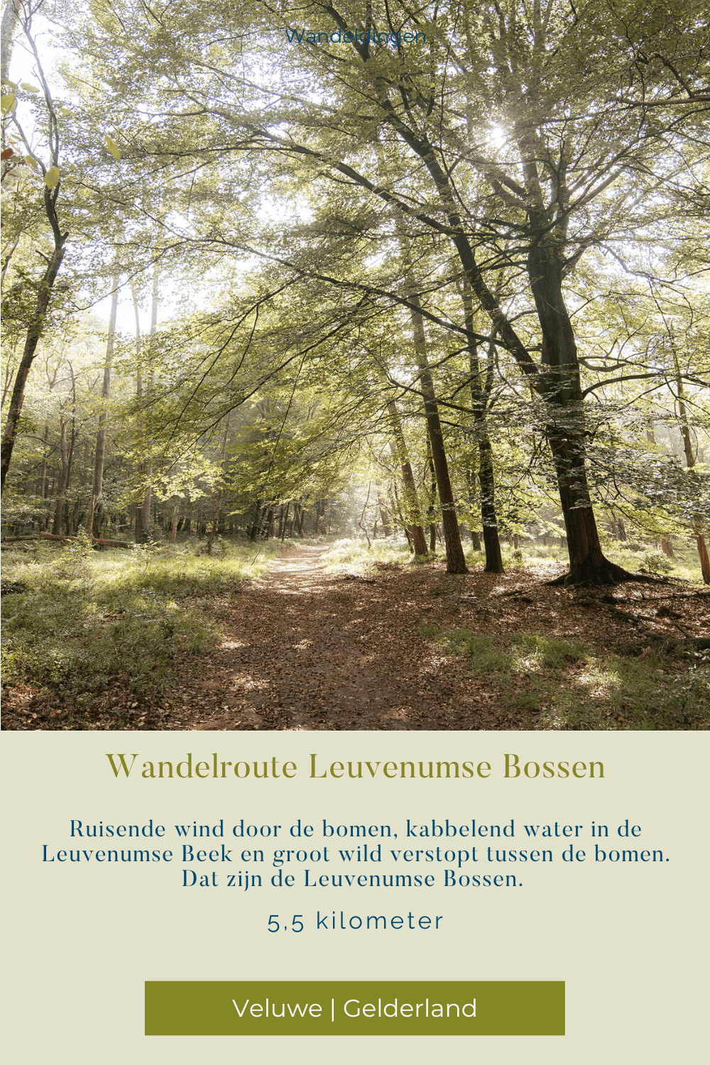 wandelroute leuvenumse bossen