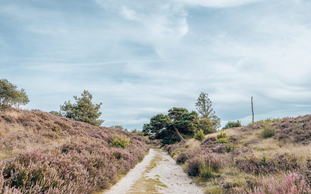 groene route nijverdal