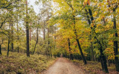 Oranje wandelroute op Bruggelen