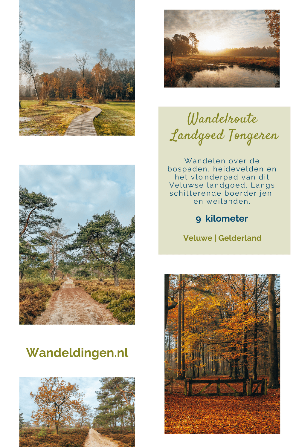 landgoed tongeren