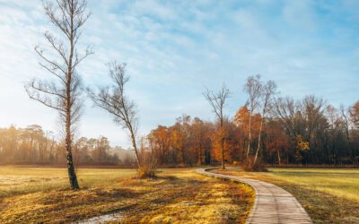 Wandelen over Landgoed Tongeren