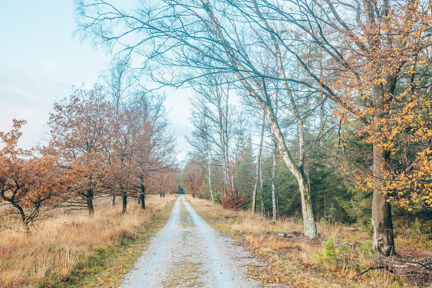 wandelroute Coldenhove