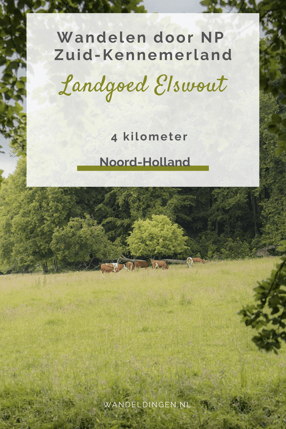 Landgoed Elswout