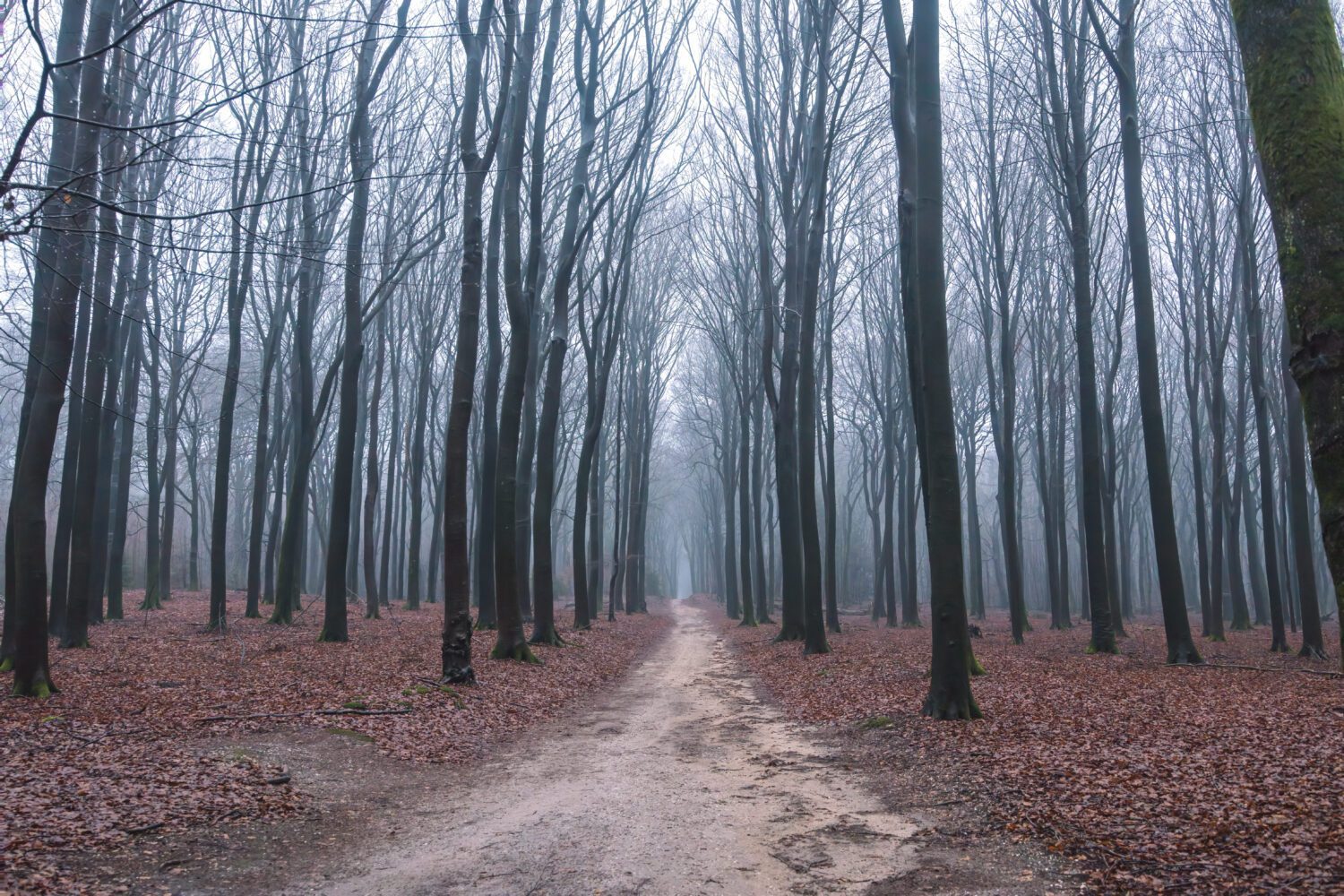 Komootroute Speulderbos