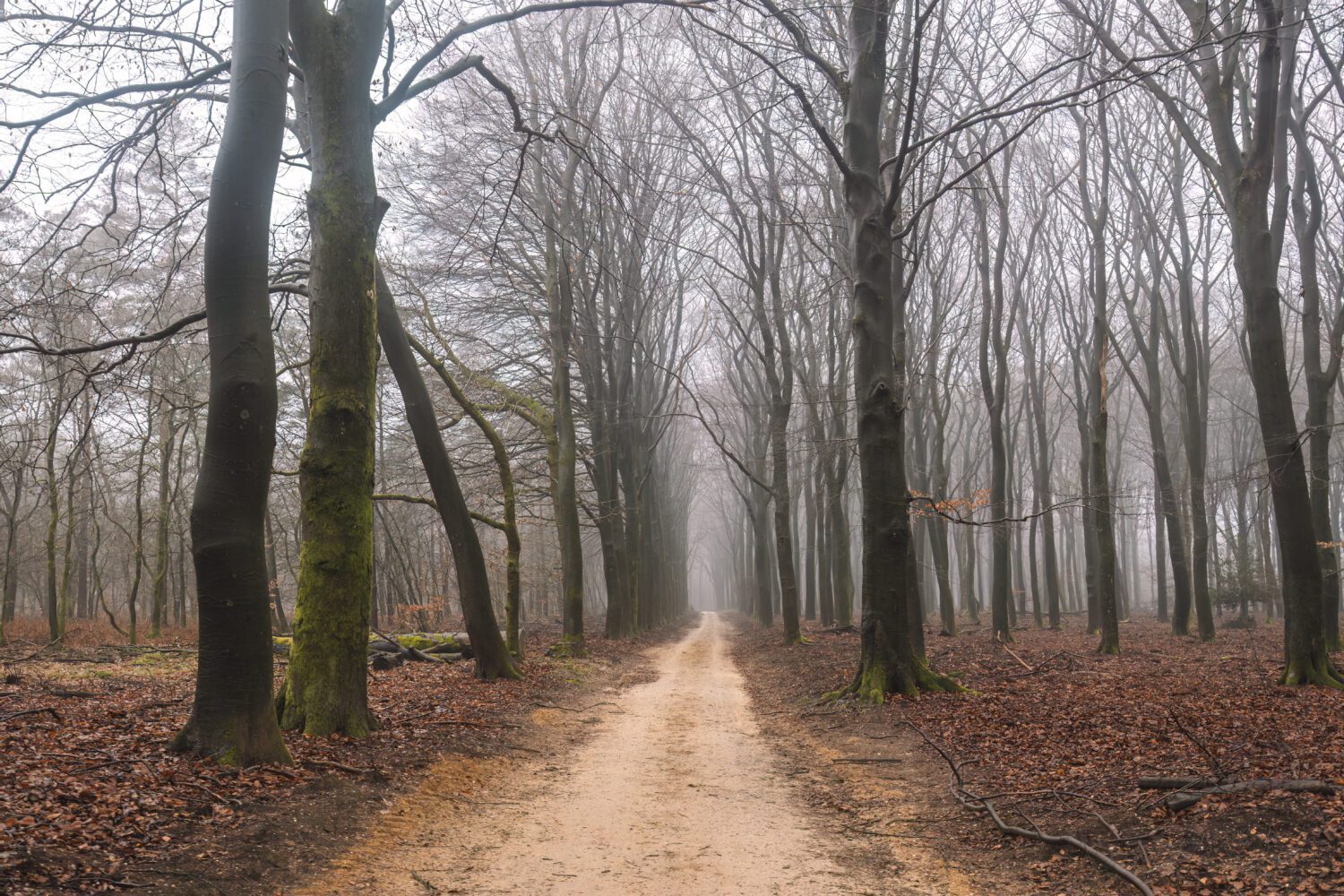 Komootroute Speulderbos