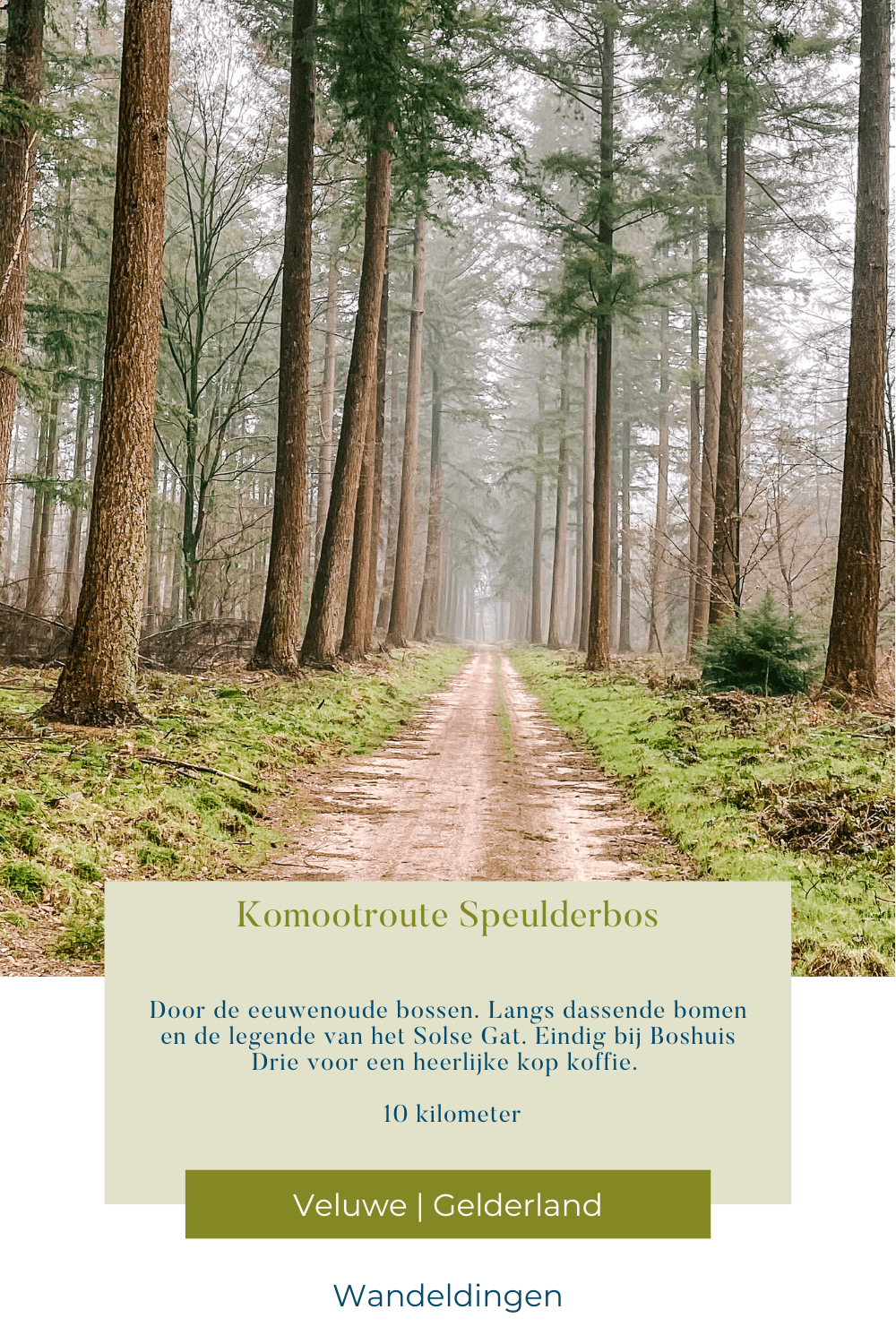 Komootroute Speulderbos