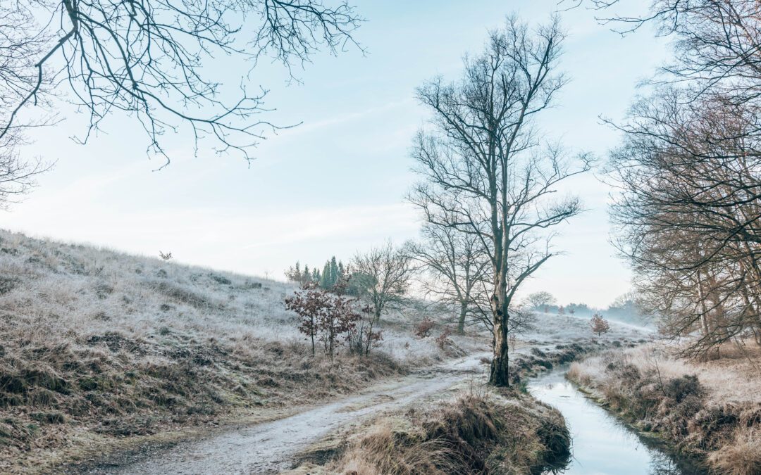 Rondwandeling Wolfheze Natuurmonumenten