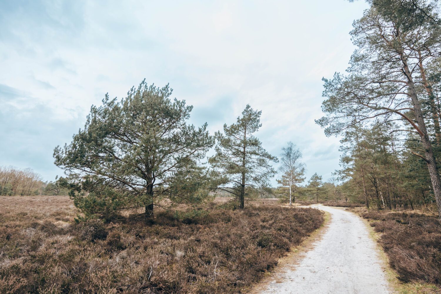 wandelroute Rollekoot