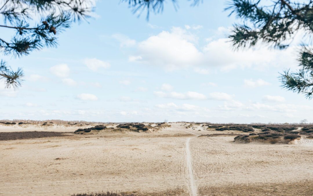 Komootroute Balloërveld & Taarlo