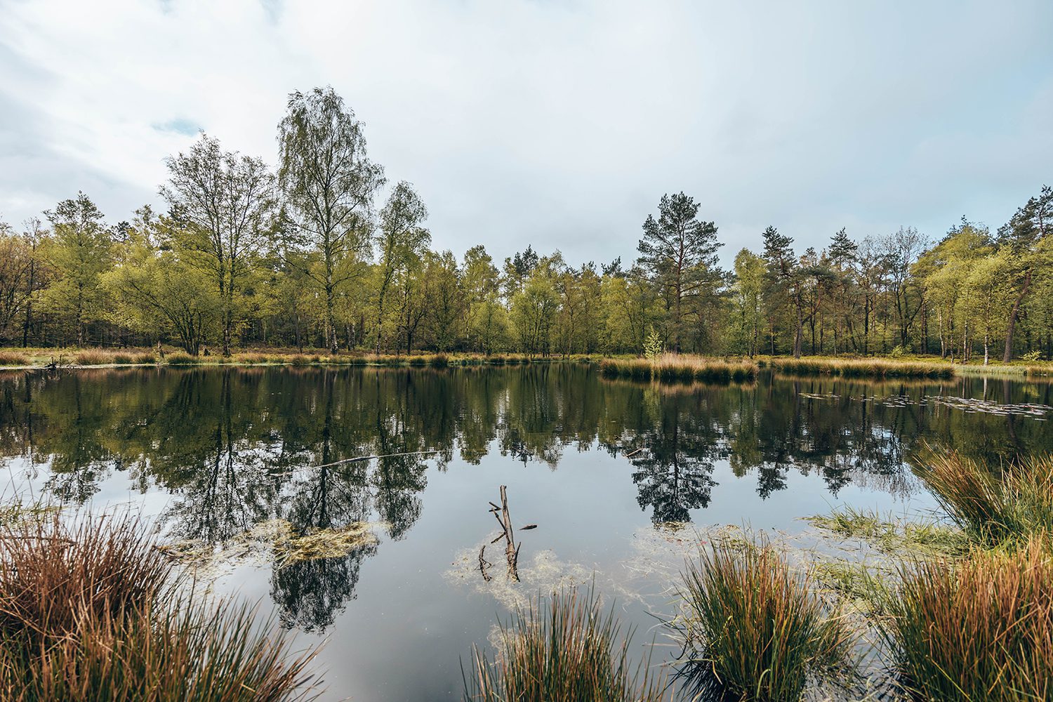 Trage Tocht Renderklippen