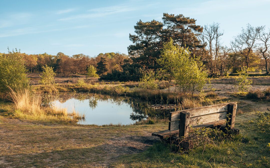 Trage Tocht Arnhem Schaarsbergen