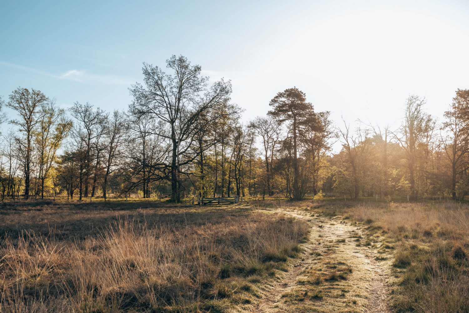 Trage Tocht Arnhem Schaarsbergen