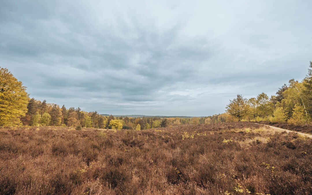 Kort & Prachtig Elsterberg