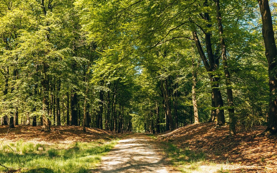 veluwse rondje groenendaal