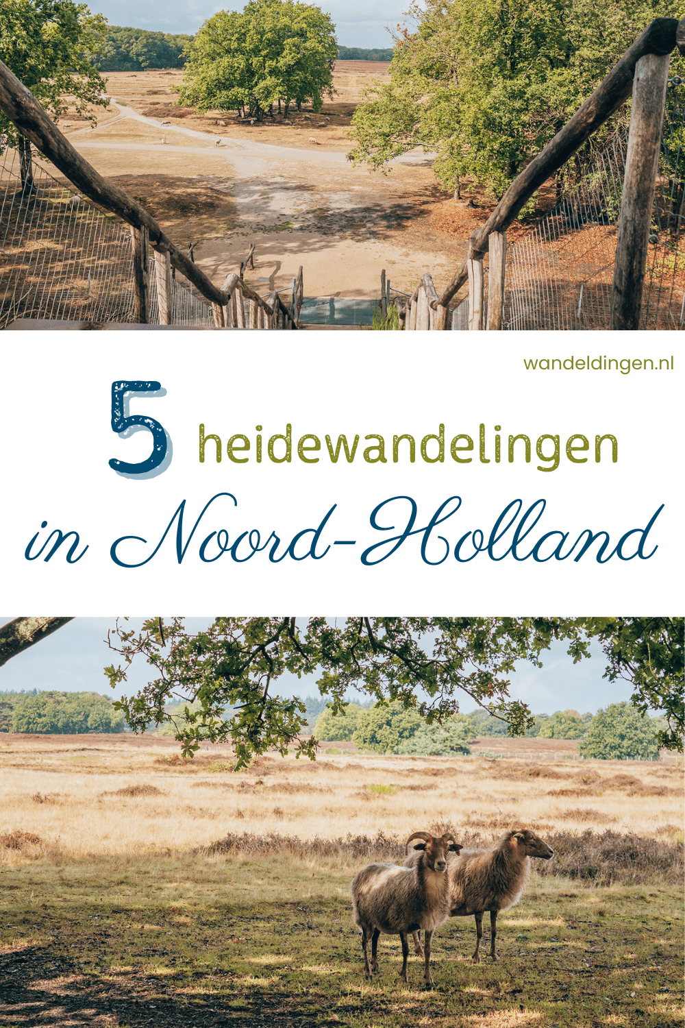 heide noord-holland