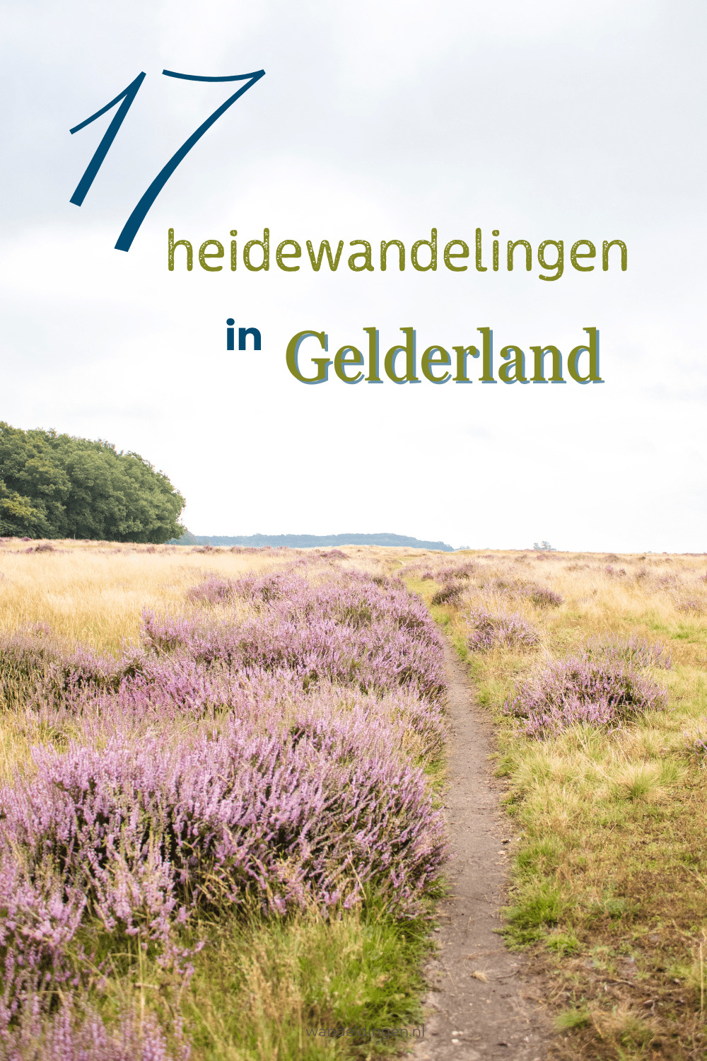 Heide Gelderland