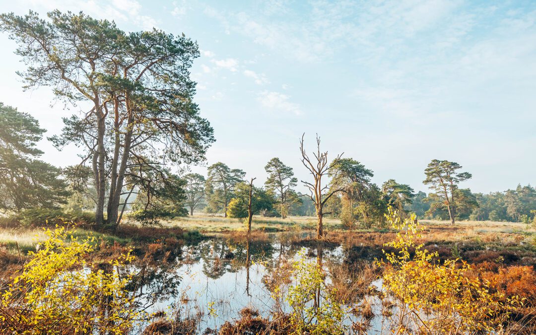 netwerkwandeling landgoed eerde