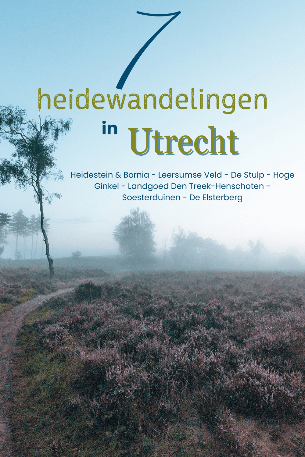 heidewandelingen Drenthe