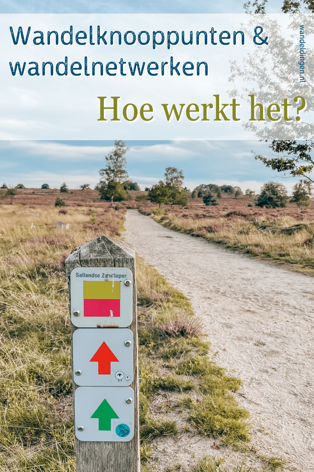 wandelnetwerken