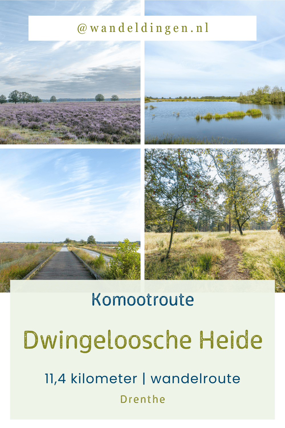 dwingeloosche heide