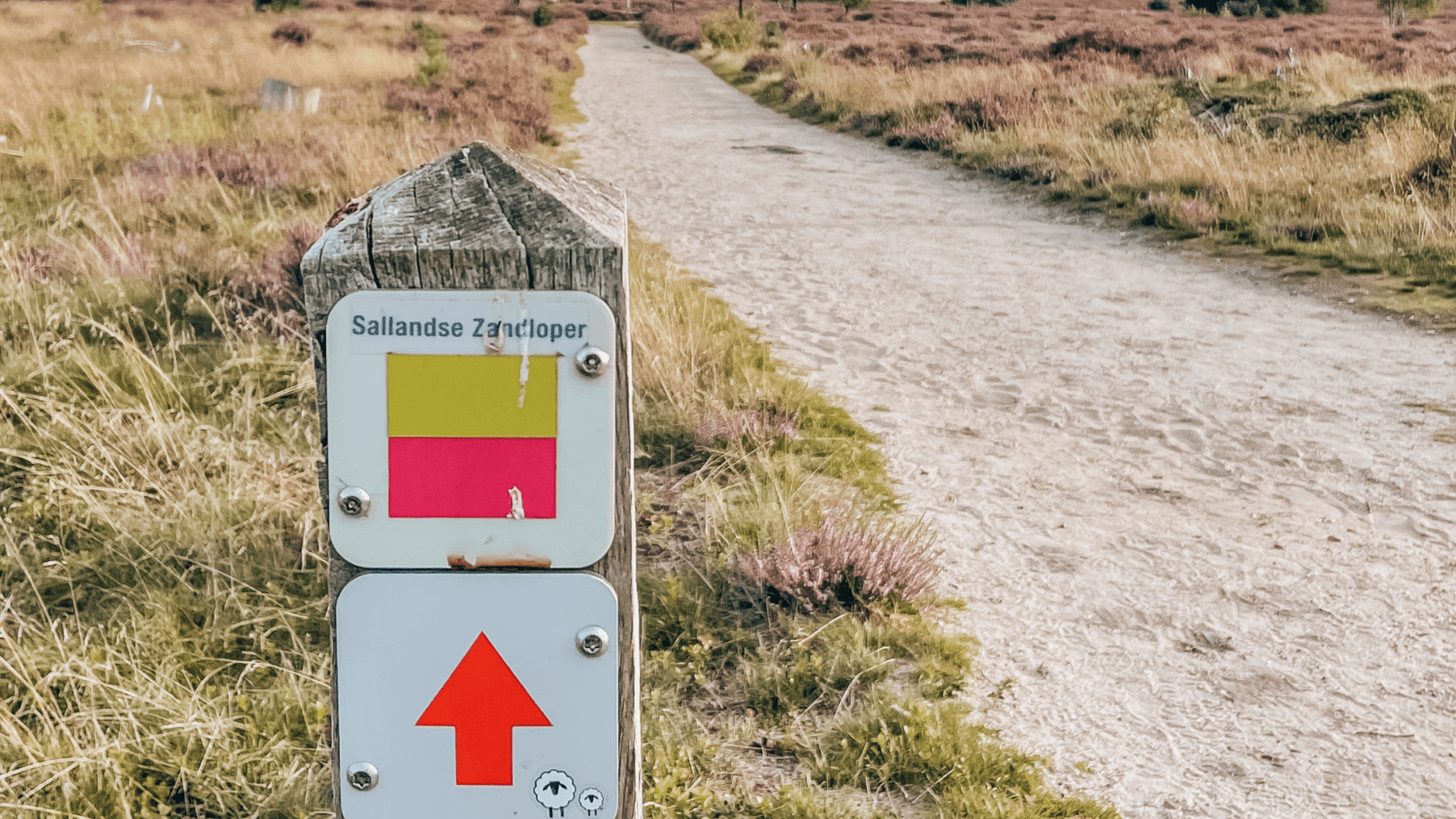 wandelnetwerken