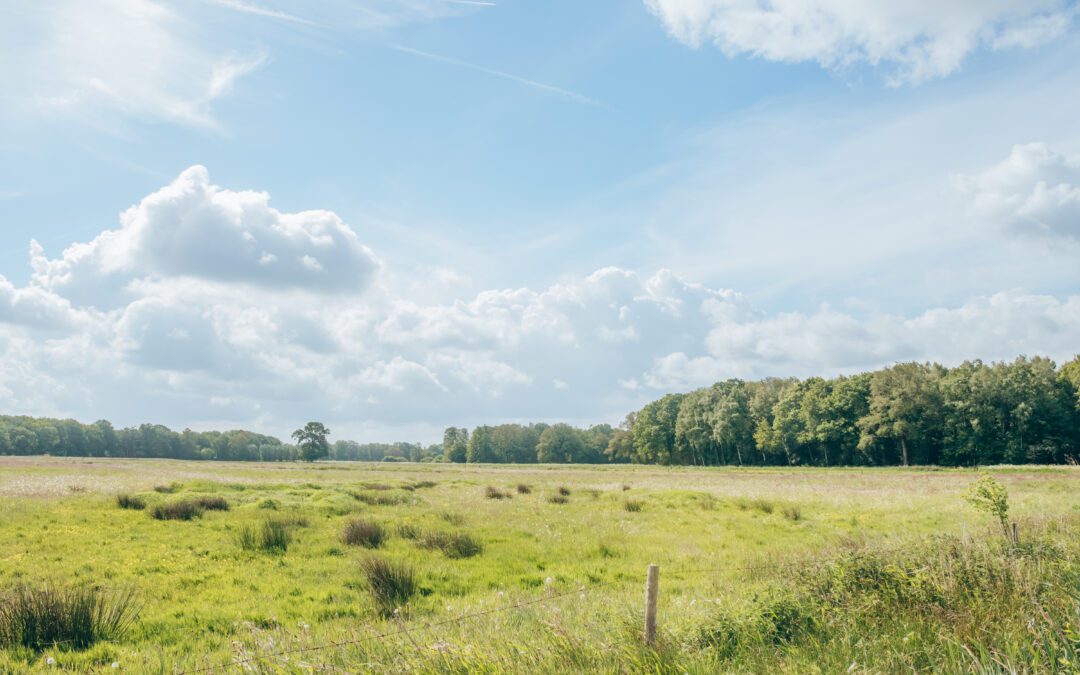 wandelen Vechtdal