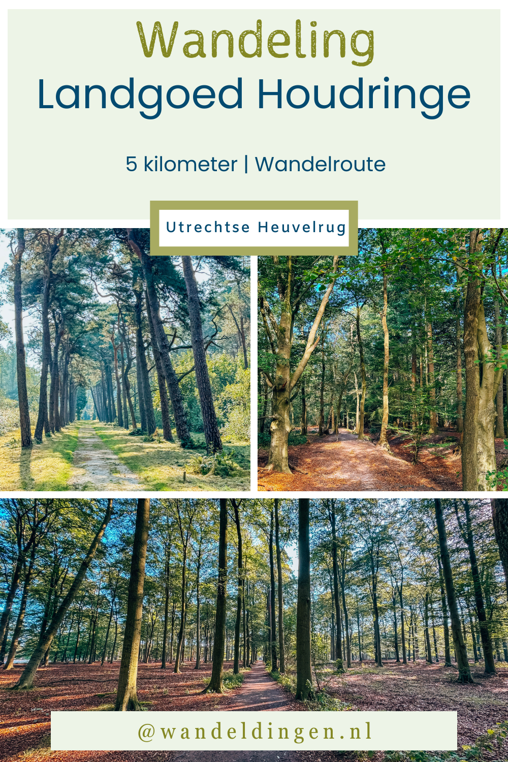 wandeling Houdringe