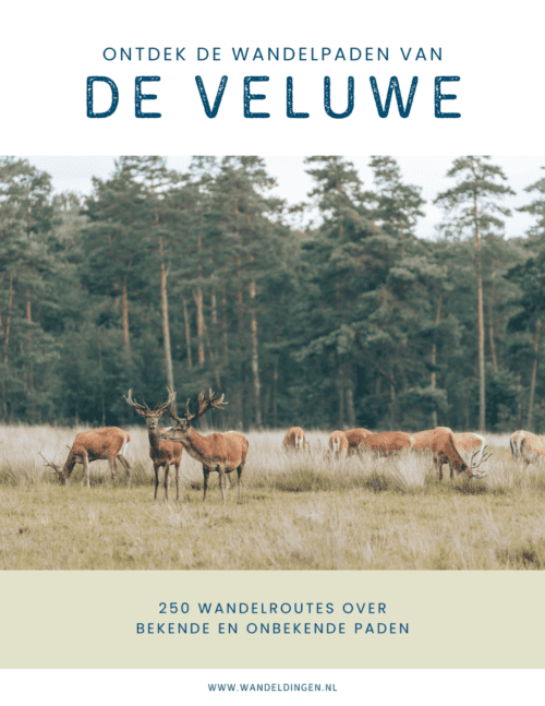 ebook veluwe