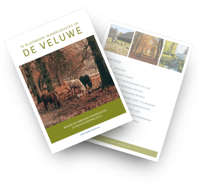 10x wandelroutes Veluwe