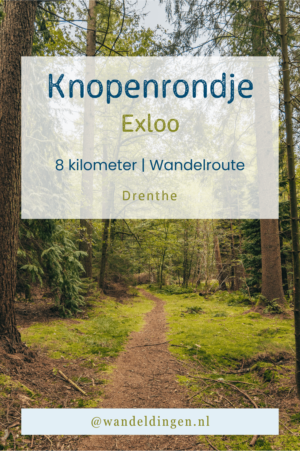 Knopenrondje Exloo