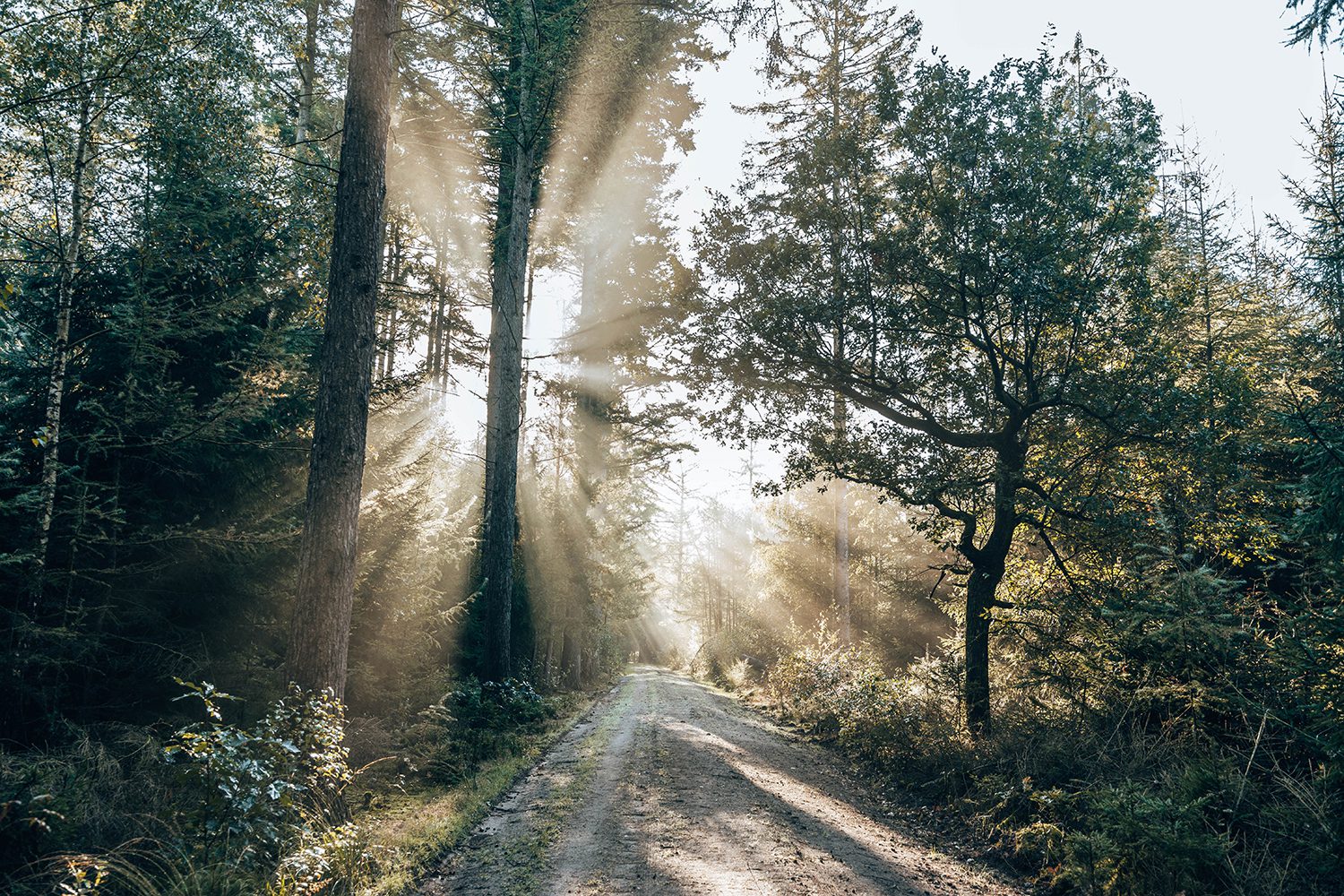 wandelen Drentsche Aa