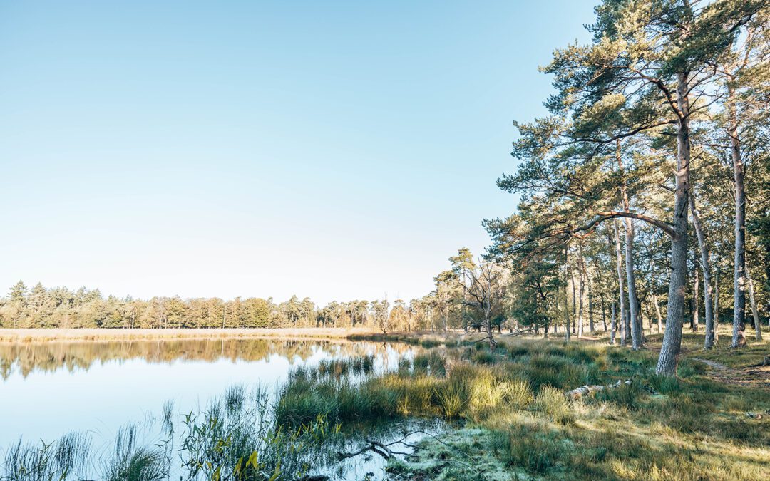 wandelen in drentsche Aa