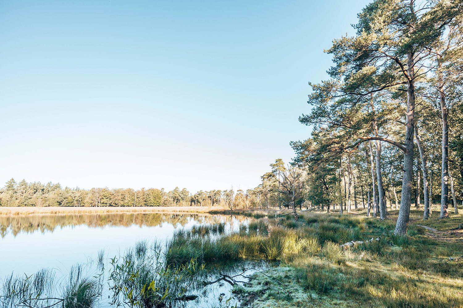 Knopenrondje Drouwenerveld